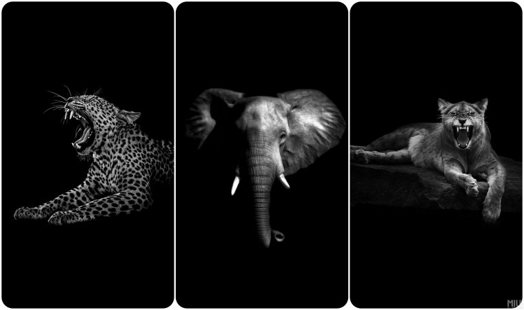 Светлые обои на смартфон