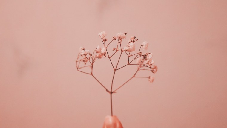 Руки Эстетика