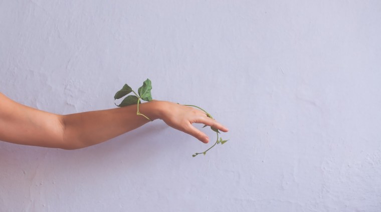 Микеланджело Сотворение Адама