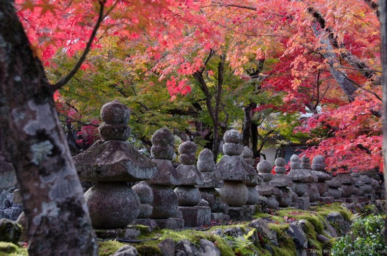 Японский сад осенью