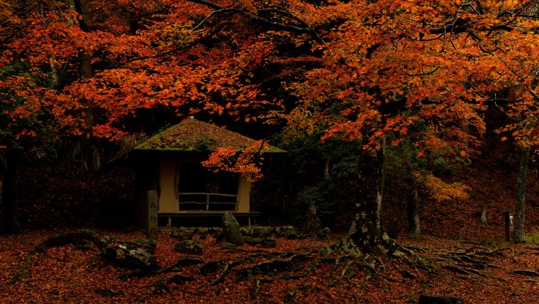 Осень в Японии