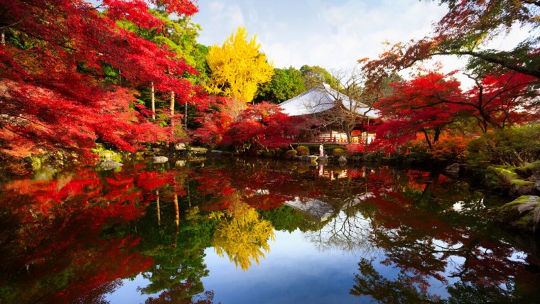 Киото Кагаку физико