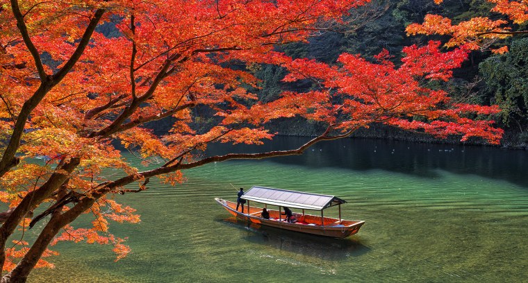 Киото клены