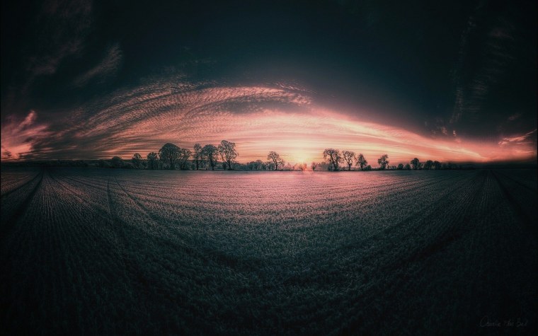 Приятный фон для глаз