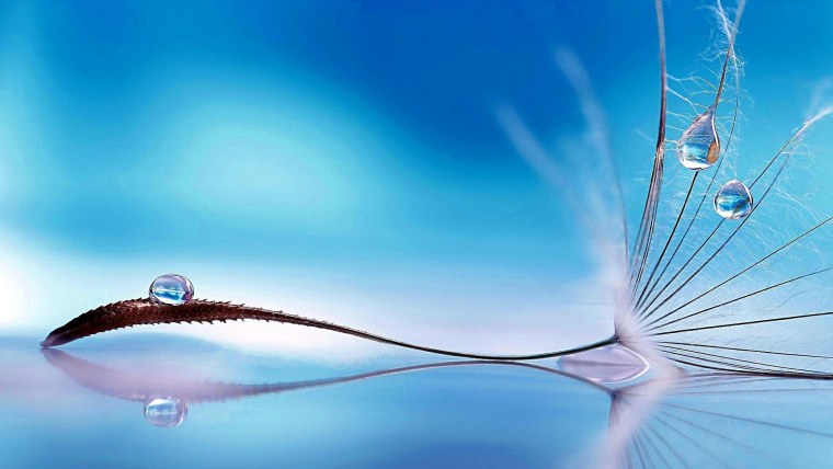 Капли макро