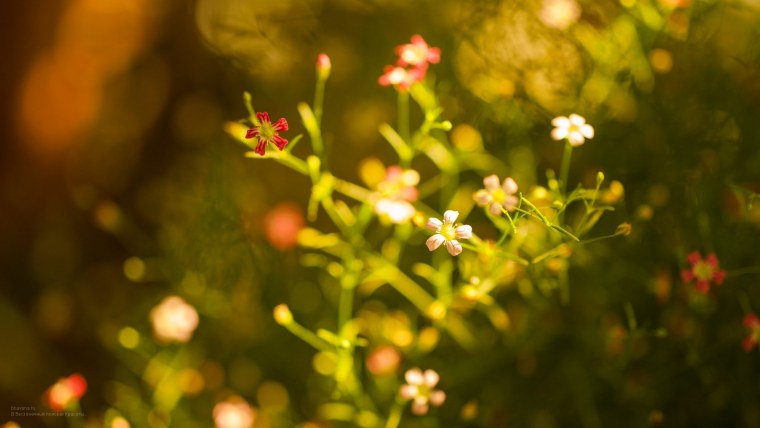 Приятный фон на рабочий стол