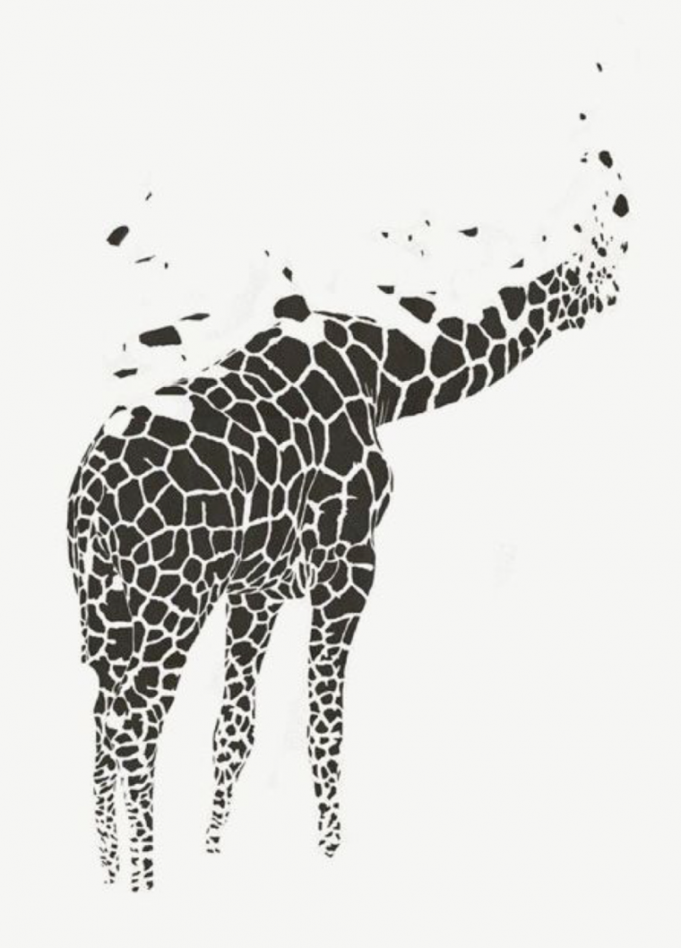 Графические принты