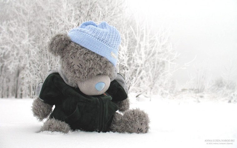 Зимний мишка