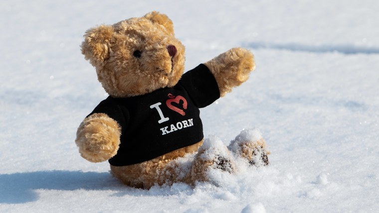 Мишка в снегу