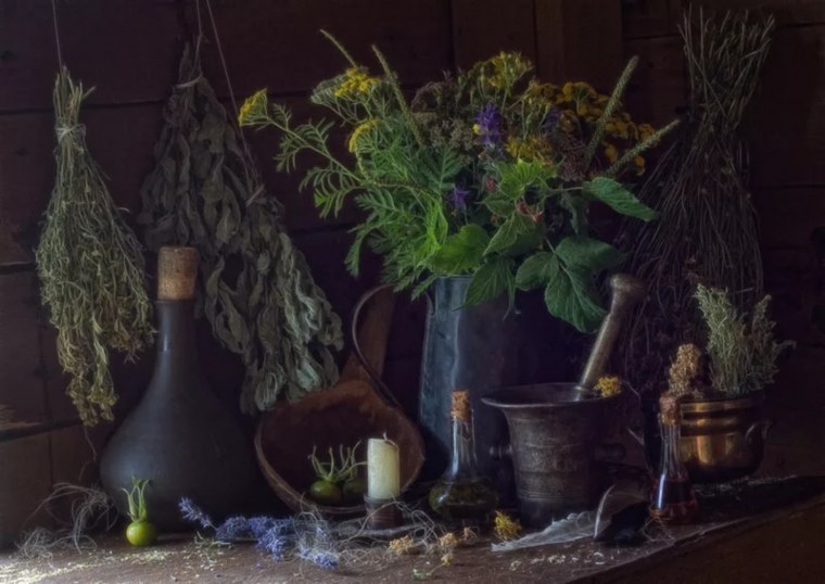 Ведьминский травник