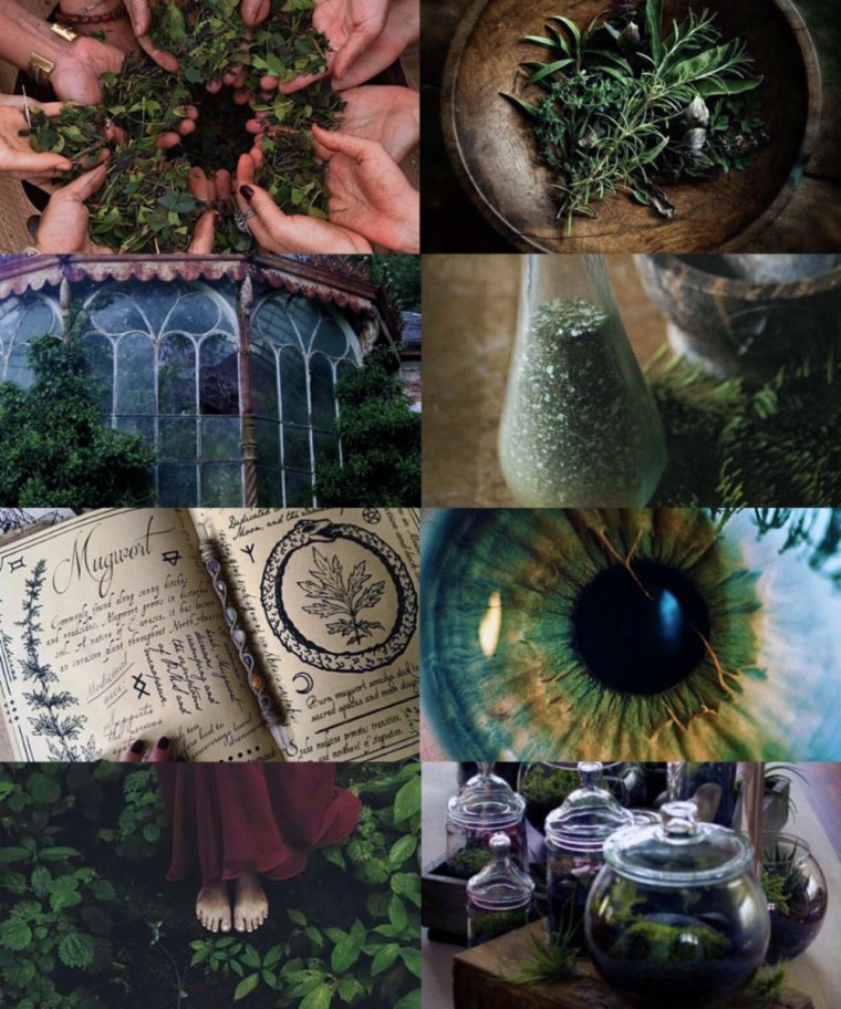 Зелёная ведьма Эстетика