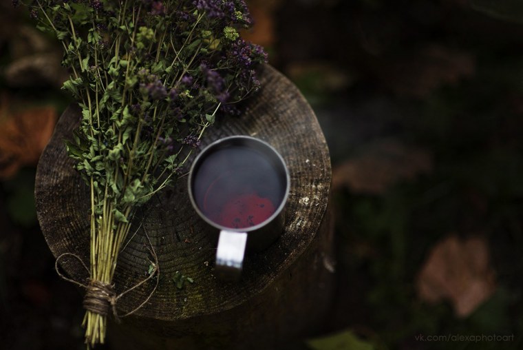 Обитель Лесной ведьмы травник