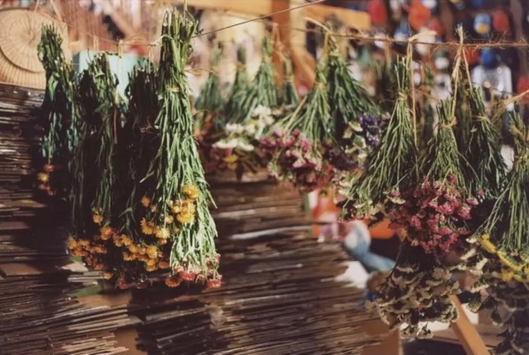 Травы сушатся