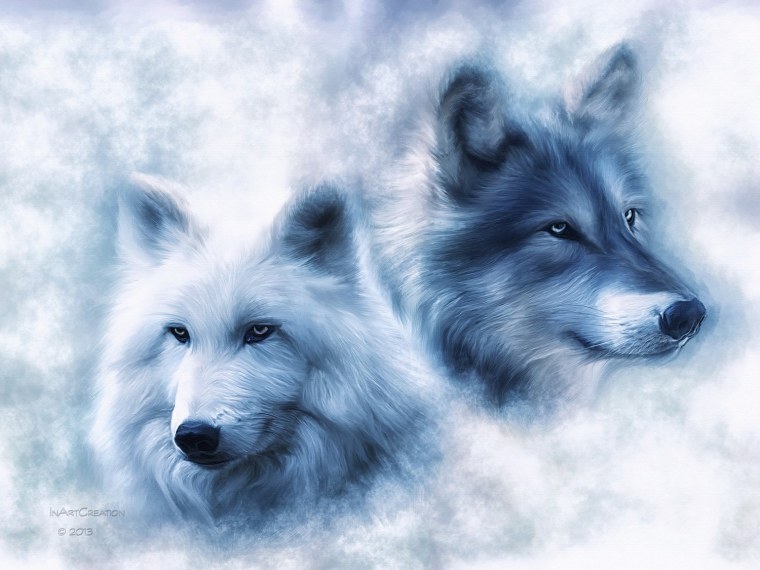 Красивый волк