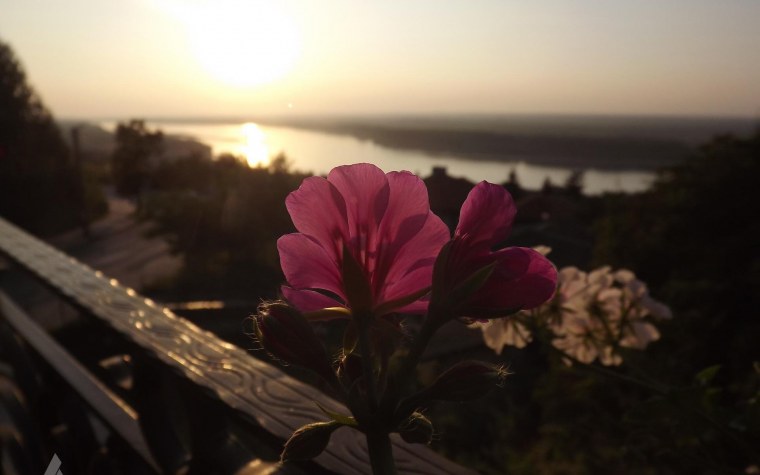 Природа закат