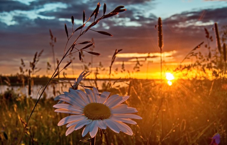 Нежный закат