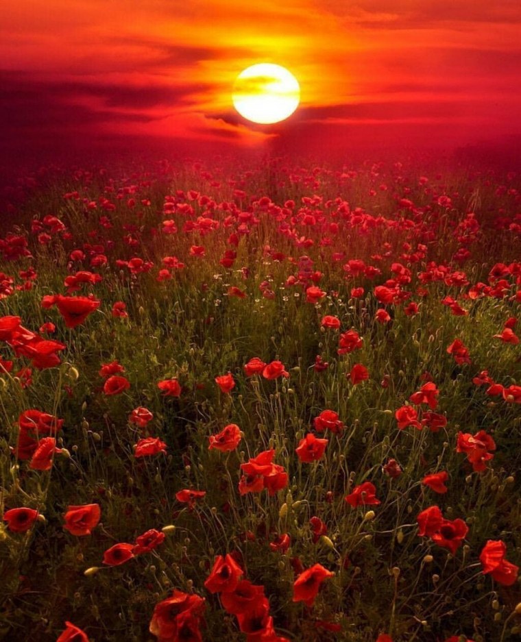 Природа рассвет