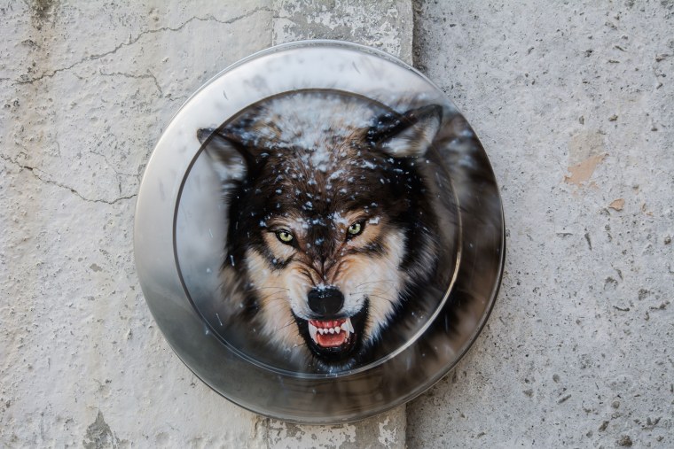 Рисунки волка на двери