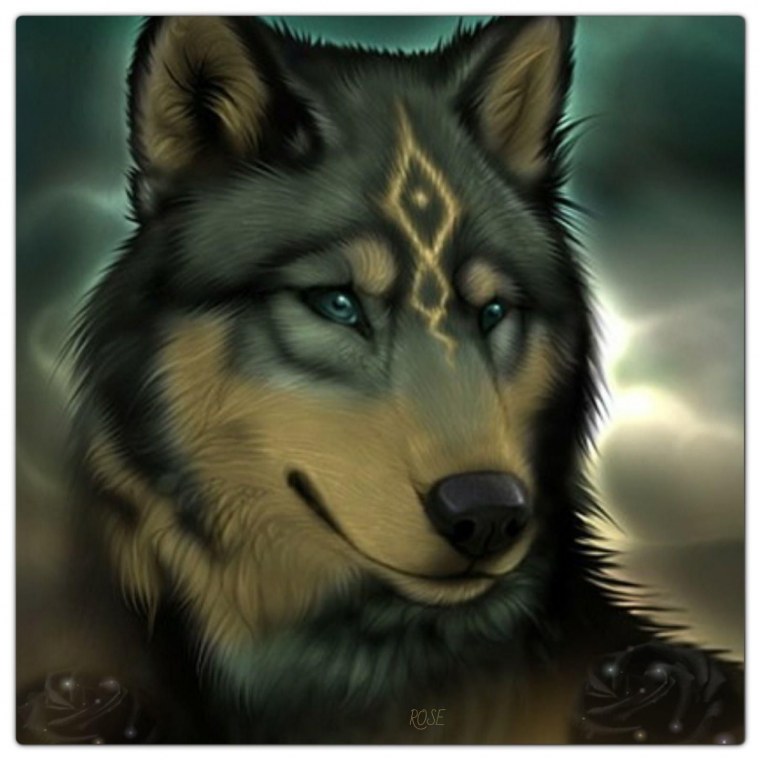 Волк аватарка