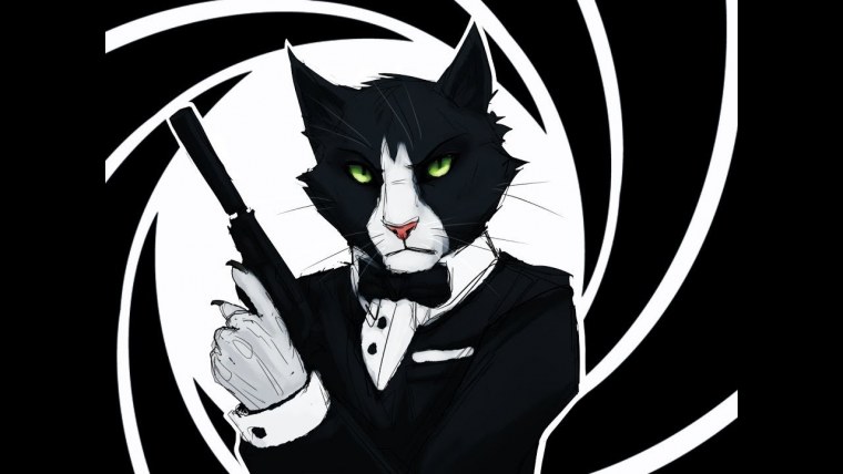 Аватарка кот