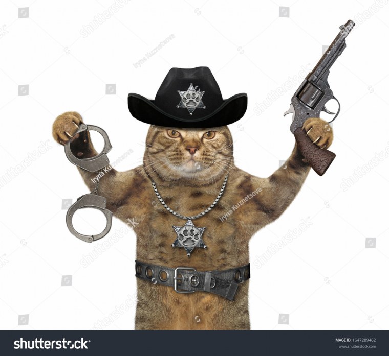 Кот полицейский с пистолетом