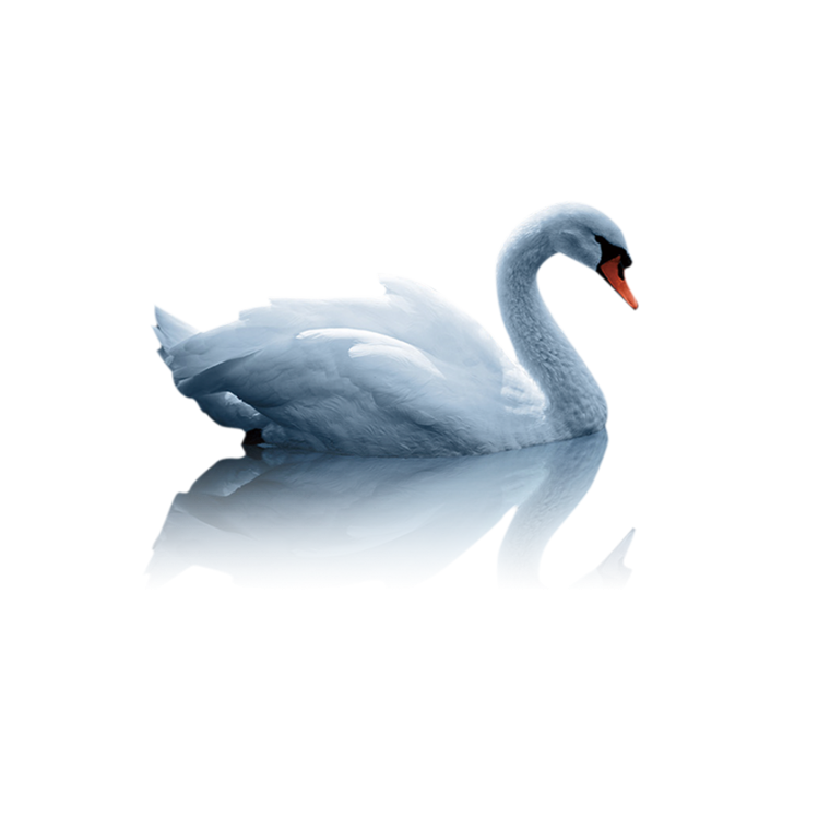 Лебеди мультяшные