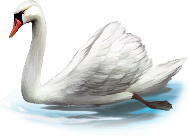 Лебедь на прозрачном фоне