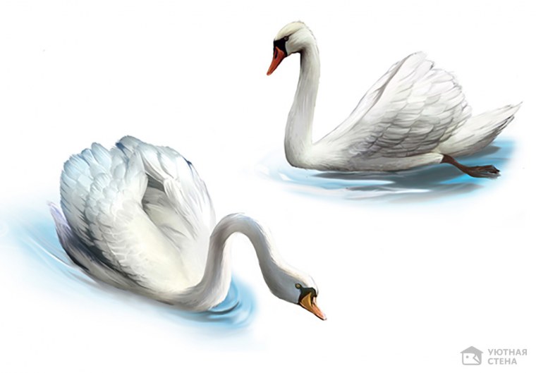 Лебедь клипарт