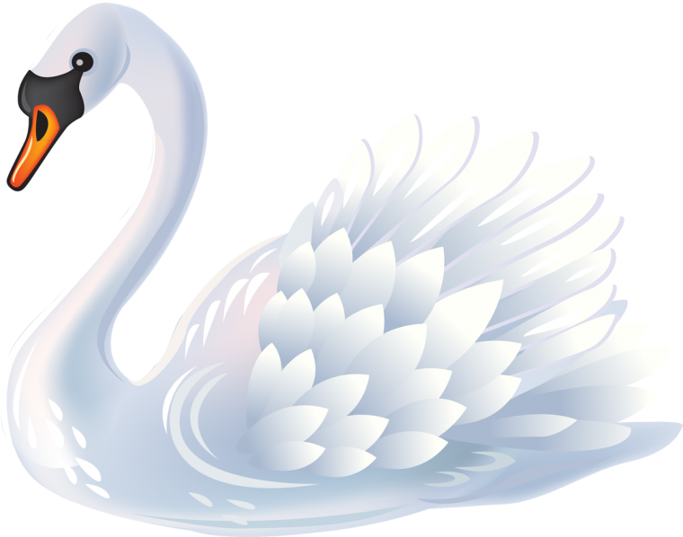 Лебедь на прозрачном фоне