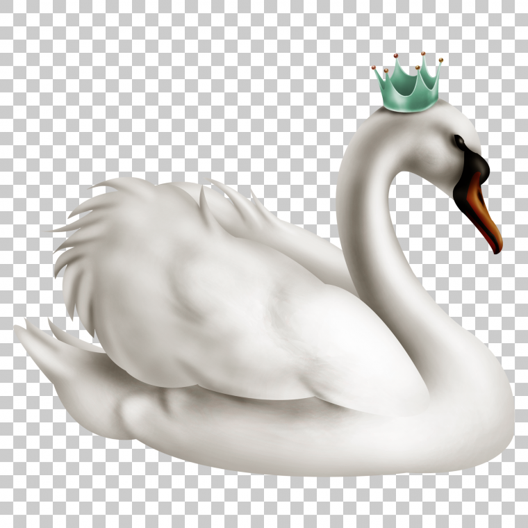 Лебедь на прозрачном фоне
