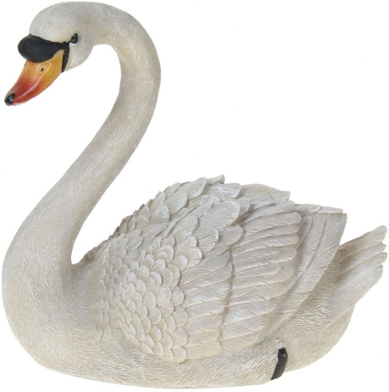 Лебедь шипун на белом фоне