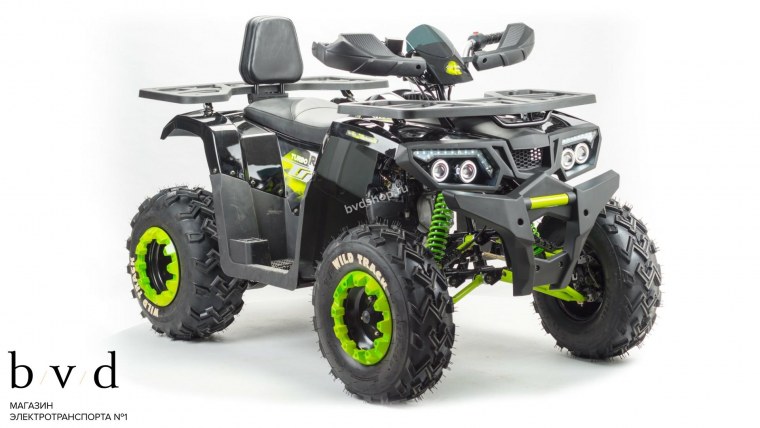 Квадроцикл Motoland Wild track 200
