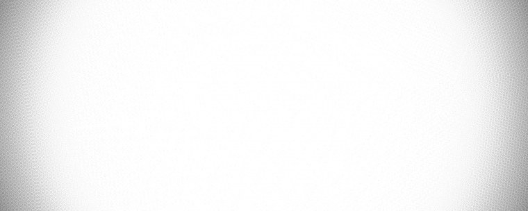 Листья на белом фоне