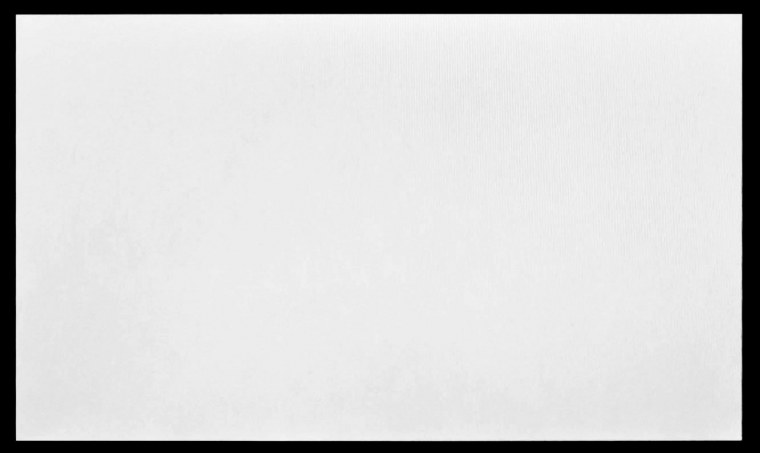 Листья на белом фоне