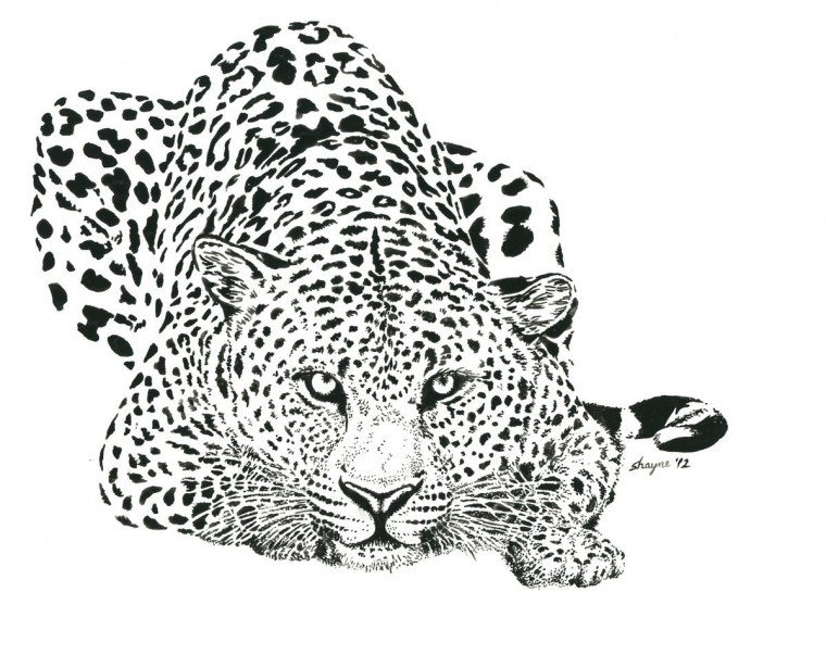 Векторные рисунки