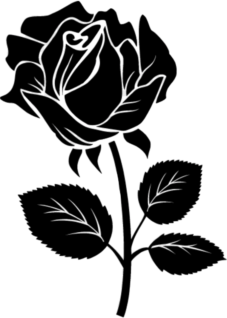 Цветок черный контур
