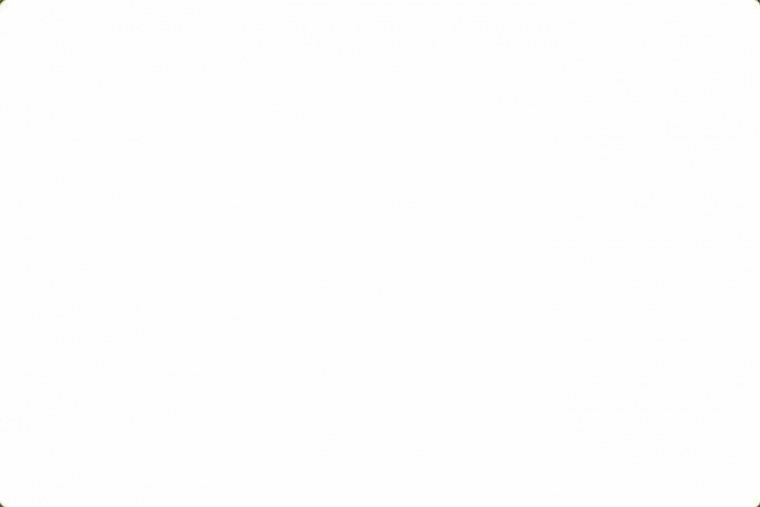 Белый прямоугольник