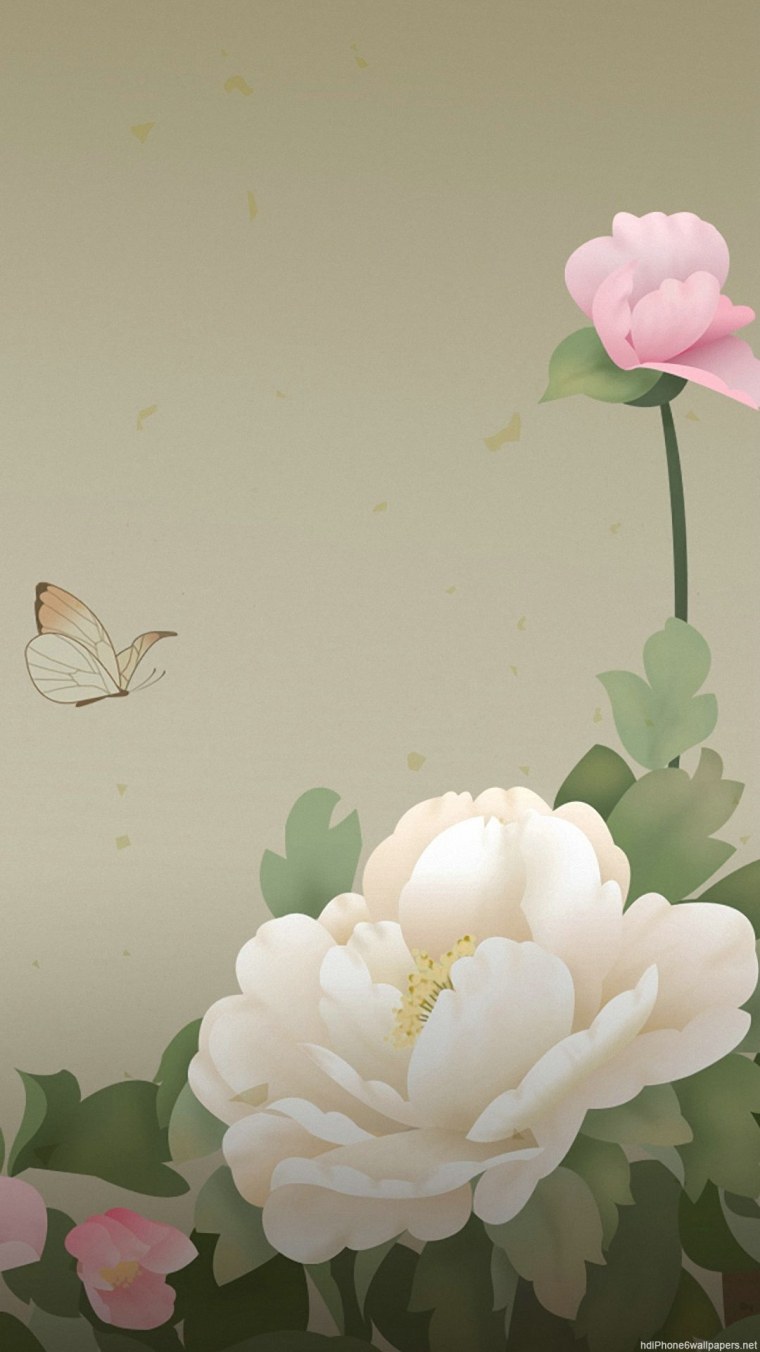 Пионы на темном сером фоне