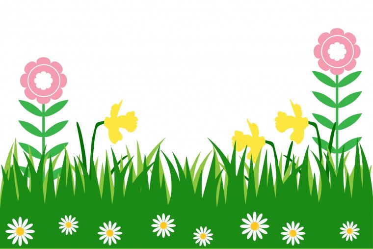 Луг на белом фоне