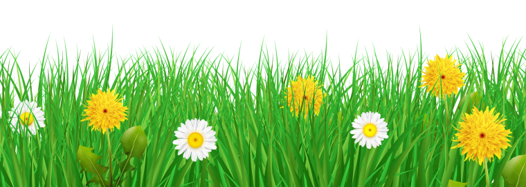 Травка с цветочками