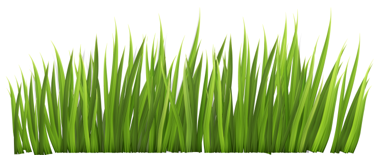 Трава рисунок