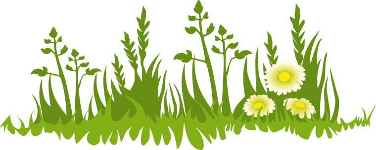 Трава контур