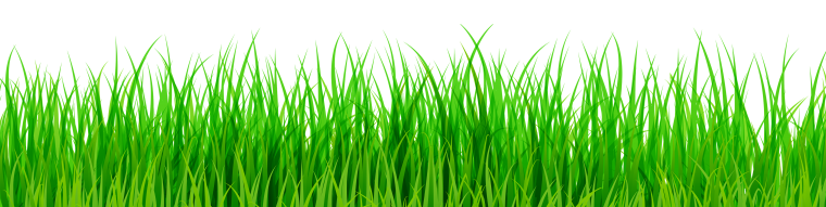 Трава вектор