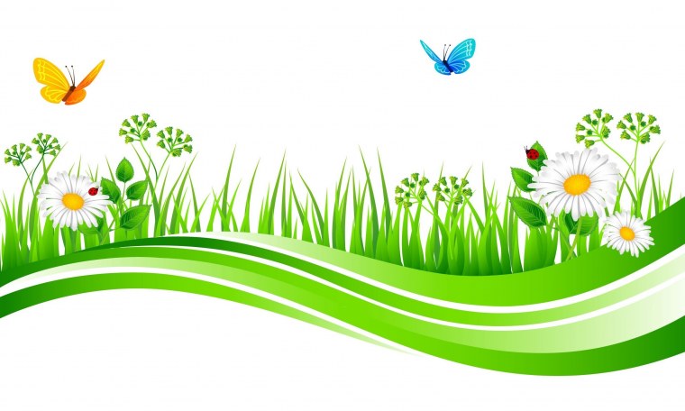 Поляна цветов на прозрачном фоне