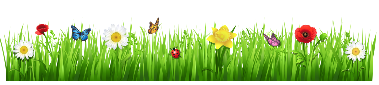 Цветочные бордюры на прозрачном фоне