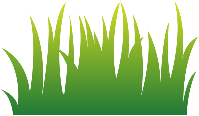 Травка с цветочками