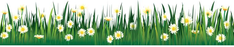 Трава с цветами на прозрачном фоне