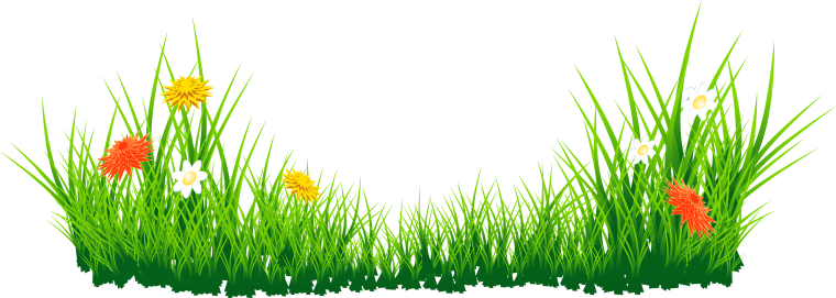 Травка кустик