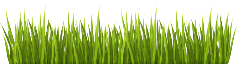 Трава мультяшные