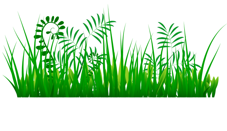 Травка с цветочками